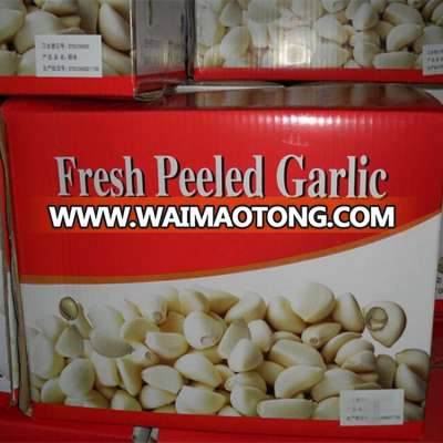 Fresh peeled garlic cloves from Shandong China