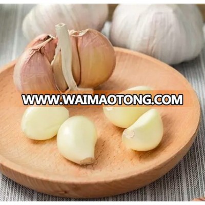 Plump white peeled garlic