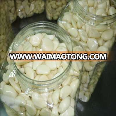 wholesale jinxiang peeled garlic cloves