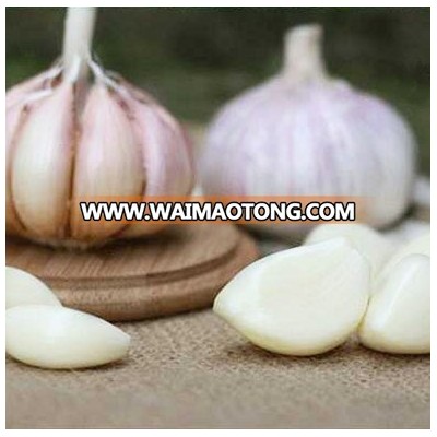 peeled white garlic