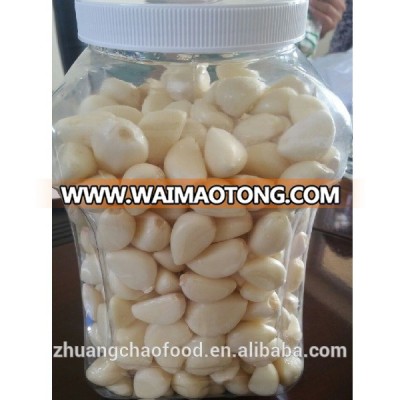 China high quality peeled fresh garlic cloves