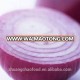 fresh onion from China factory