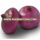 China new fresh red onion to Dubai