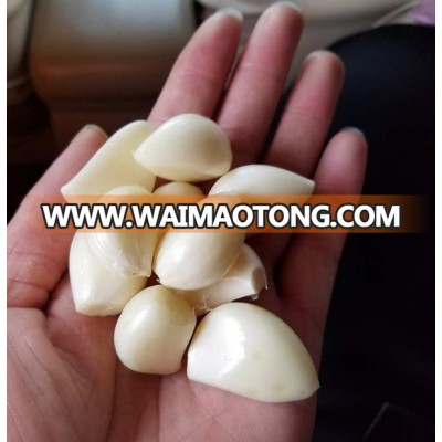 Wholesale fresh garlic cloves from Jinxiang