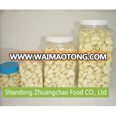 wholesale fresh garlic cloves from Shandong