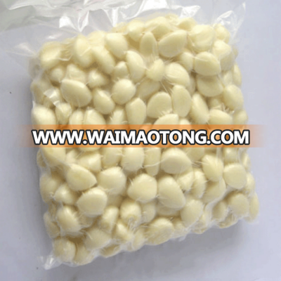 2017 wholesale 1 clove garlic price