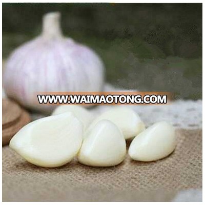 China farm vaccum packing garlic cloves