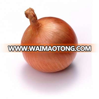 China new fresh yellow onion to Dubai