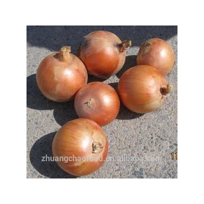 Chinese yellow fresh onion