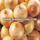 China yellow fresh onion