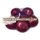 best selling wholesale fresh red onion