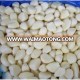 peeled garlic manufacturer