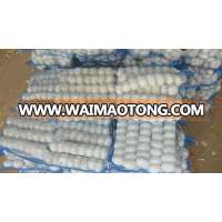 Hot Sale 2014 Fresh Garlic /White garlic/Normal white garlic